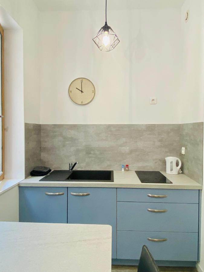 Apartament Studio Neuf Bien Place, Jardin Et Parking Gratuit Tuluza Zewnętrze zdjęcie