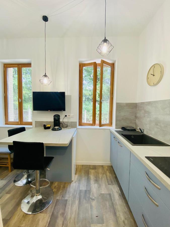 Apartament Studio Neuf Bien Place, Jardin Et Parking Gratuit Tuluza Zewnętrze zdjęcie